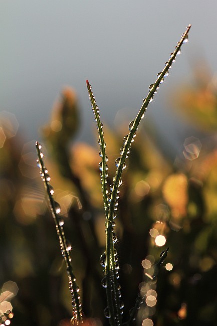 Foto Lukas Bieri