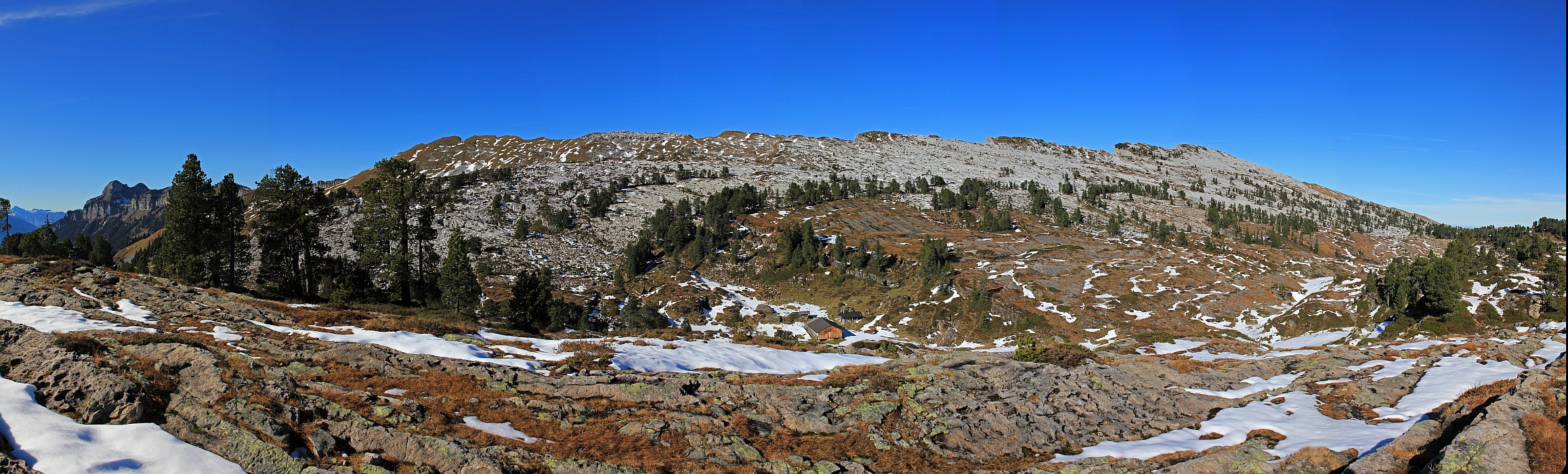 « zurück / Foto: F.Bieri