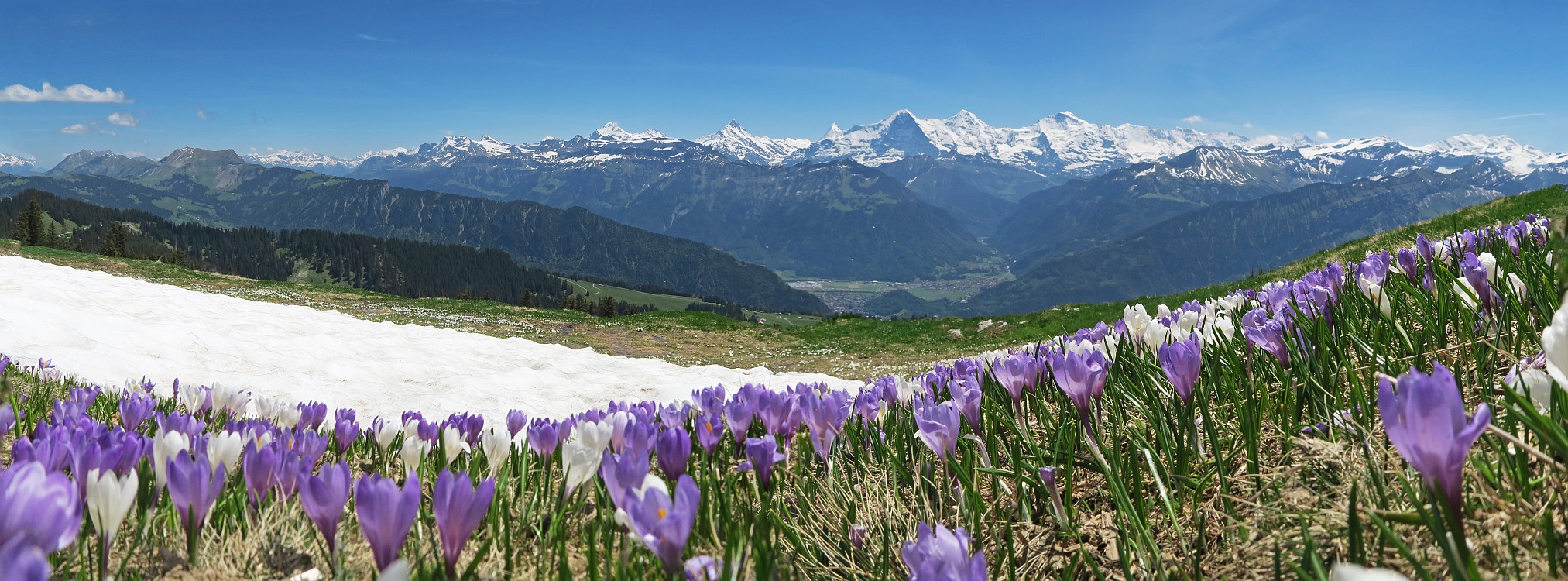 « zurück / Foto: F.Bieri