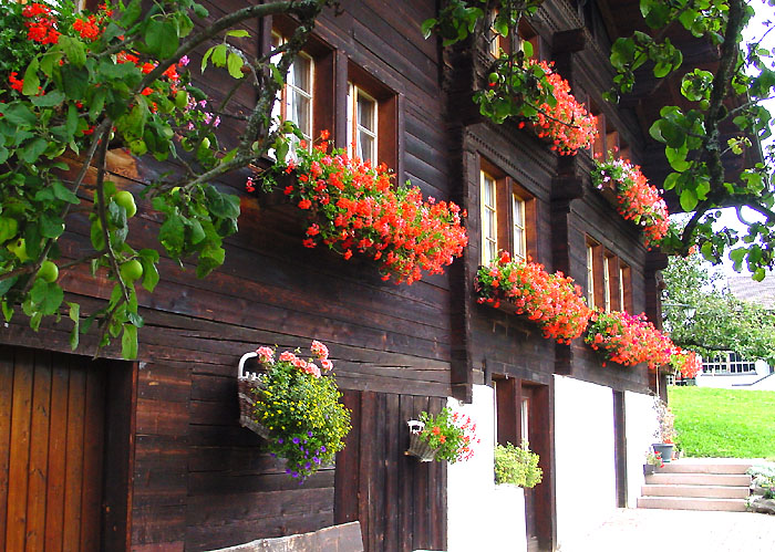 Beatenberg Dorf / Blumenfenster / Foto: Heinz Rieder