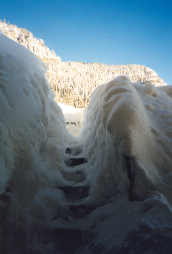 Winter 1999 / Foto: Esther Rieder