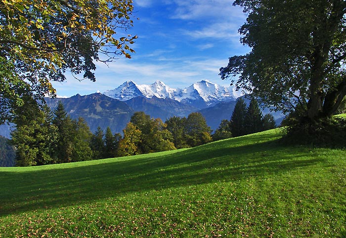 Jungfrau / Photo: Heinz Rieder