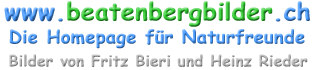 logo_beatenbergbilder_2007_5d.png / Hintergrund transparent