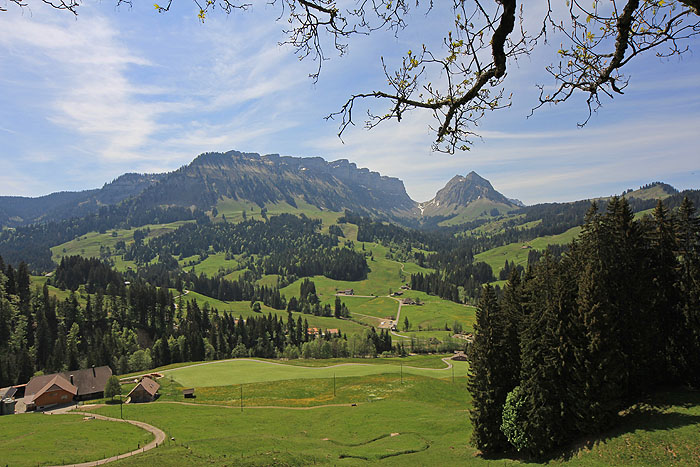 Bilder Beatenberg (Berner Oberland, Schweiz) / Holzhäuser in Beatenberg