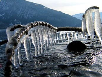 Frosting / to turn to ice ... (Photo: Fritz Bieri)