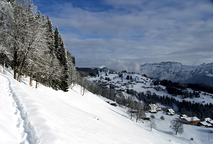 Waldegg as seen from Beatenberg-Spirenwald / Photo: Heinz Rieder