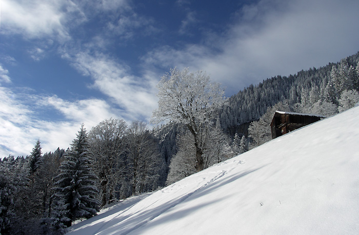 Winterlandschaft oberhalb Spirenwald / Foto: Heinz Rieder