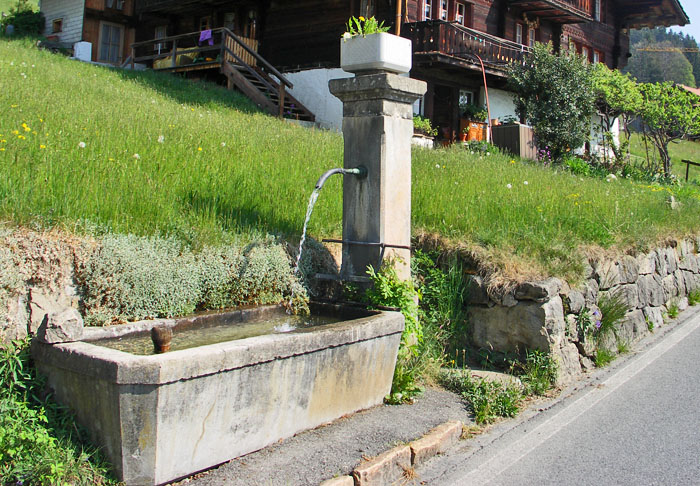 Im Mai 2007 - alter Steinbrunnen / Foto: Heinz Rieder