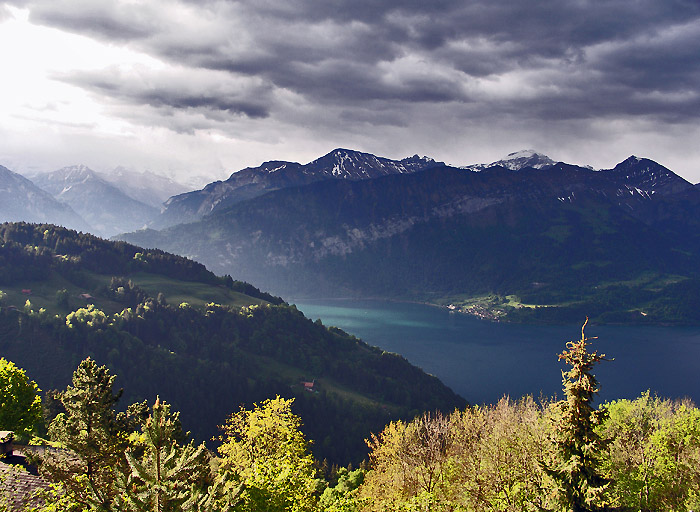 Im Mai 2007 / Blick zum Thunersee / Foto: Heinz Rieder