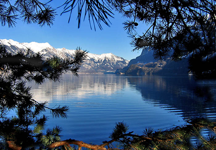 Herbst am Brienzersee / Foto: Heinz Rieder