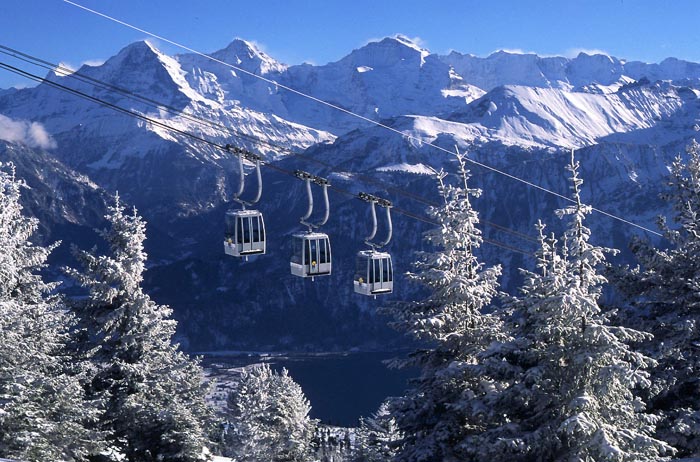 Winter Niederhorngebiet (Photo: Fritz Bieri)