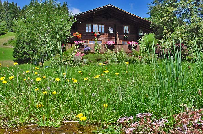 Oberhalb Riedboden - Chalet Breiten / Foto: Heinz Rieder