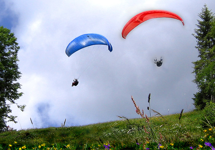 Paragliders shortly after the start / Photo: Heinz Rieder