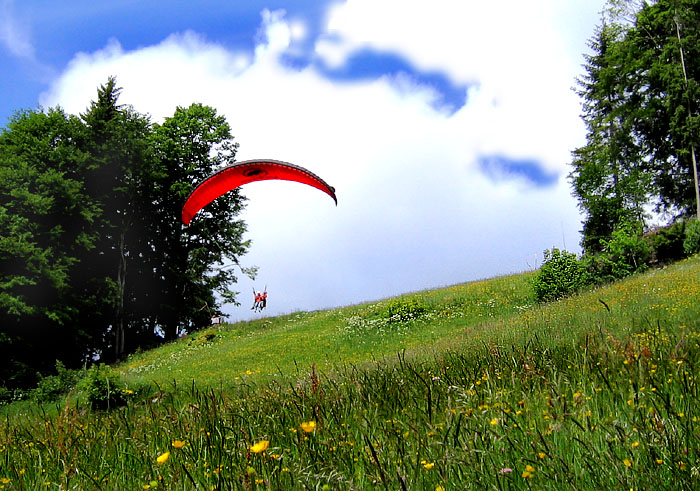 Passenger flight / Photo: Heinz Rieder