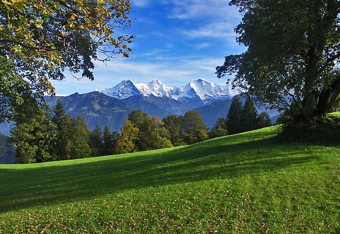 Jungfraublick / Foto: Heinz Rieder