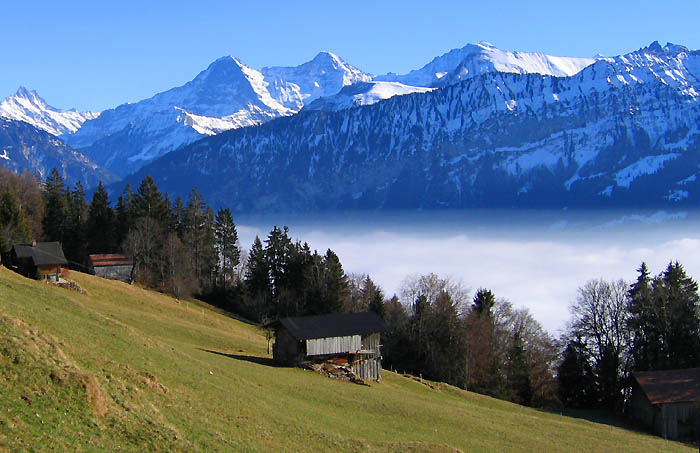 Jungfraumassiv / Foto: Heinz Rieder