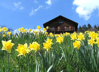 Chalet / Foto: Fritz Bieri