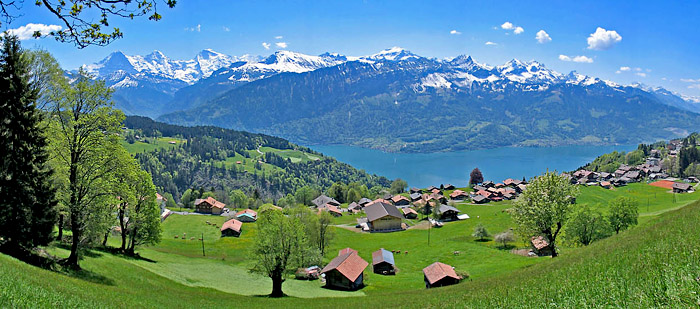 Spring Beatenberg-Spirenwald / Foto: Fritz Bieri