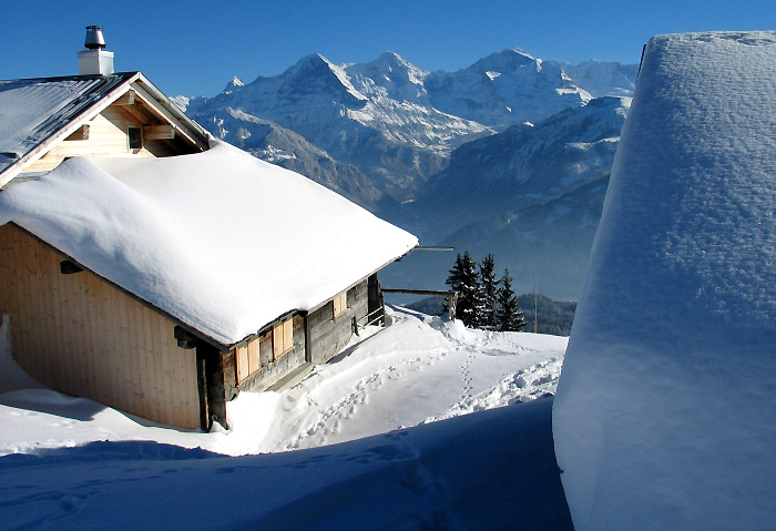Winter (Bild: Fritz Bieri)
