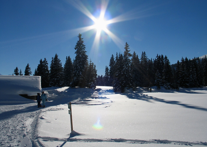 Winter (Bild: Fritz Bieri)