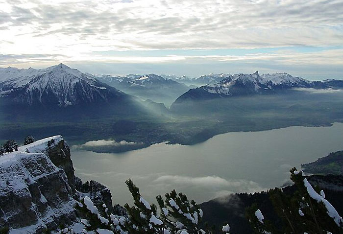 Niederhorn / Foto: Fritz Bieri