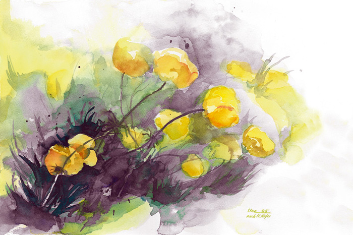 Aquarell von Eveline Steiner / Foto: Daniel Zobrist