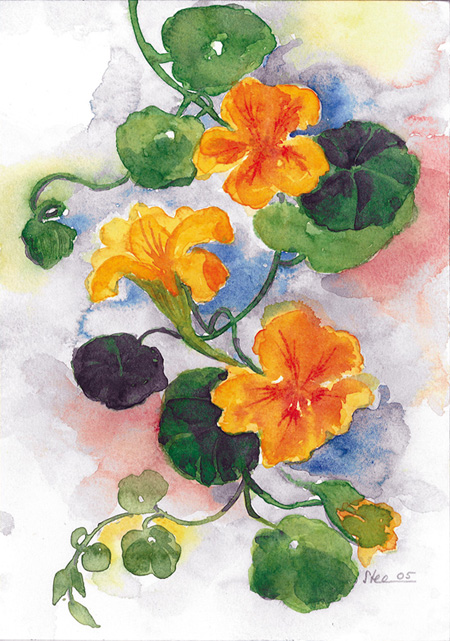 Aquarell von Eveline Steiner / Foto: Daniel Zobrist