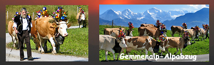 » Alpleben Gemmenalp / Foto: F.Bieri / Montage: H.Rieder