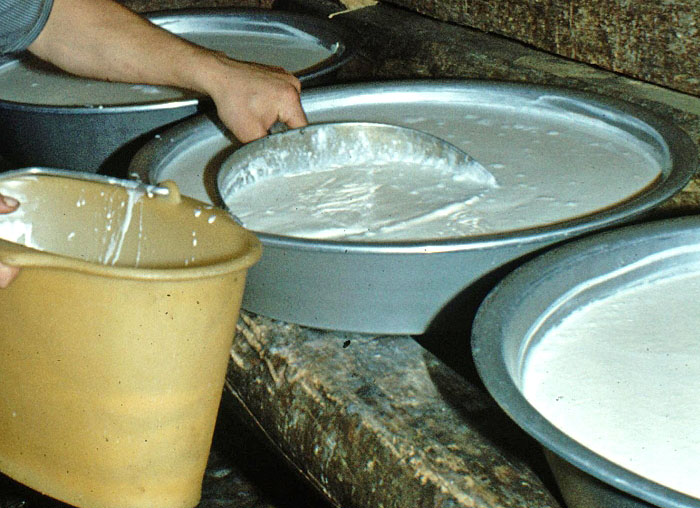 Nidle wird abgenommen / Foto: Fritz Bieri