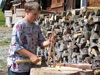 Holz spalten / Foto: Fritz Bieri