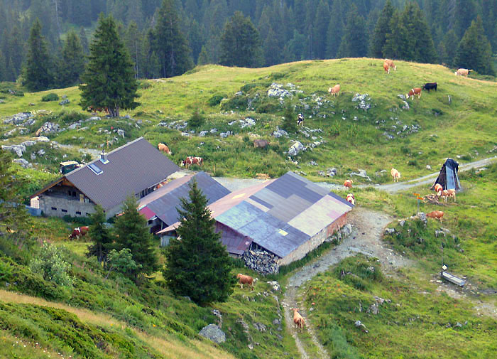 Hütten Gemmenalp Oberberg / Foto: Fritz Bieri