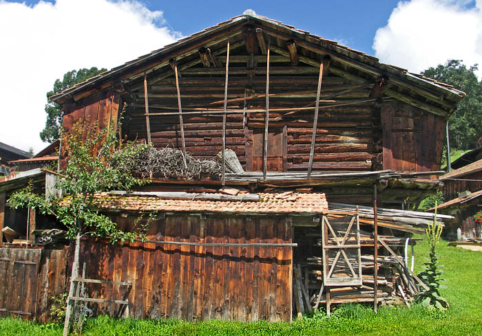 Rinderschür seitlich / Foto: Heinz Rieder