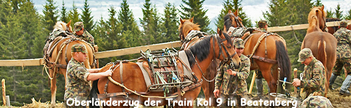 » Train in Beatenberg / Fotos: F.Bieri
