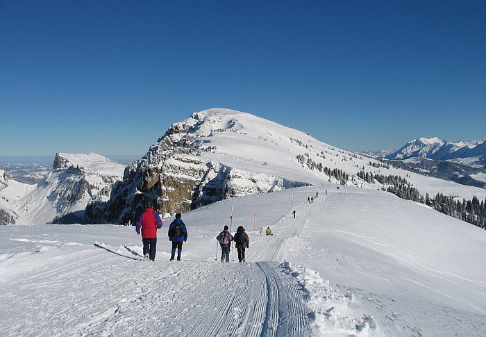 Wanderweg / Foto: Fritz Bieri