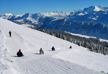 Schlittelweg / Winterwanderweg / Foto: Fritz Bieri