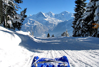 Schlittelweg / Winterwanderweg / Foto: Fritz Bieri