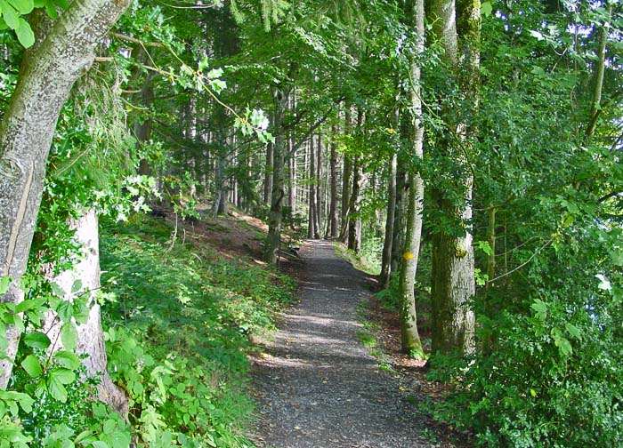 Wanderweg / Foto: Heinz Rieder