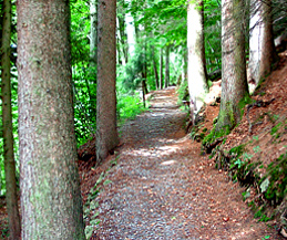 Wanderweg / Foto: Heinz Rieder