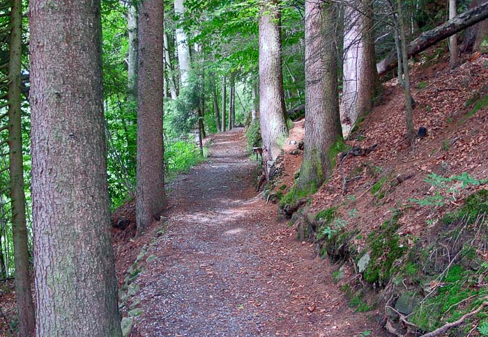 Wanderweg / Foto: Heinz Rieder