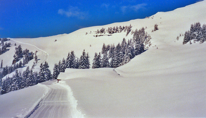 Winterwanderweg / Foto: Chrigel Oehrli