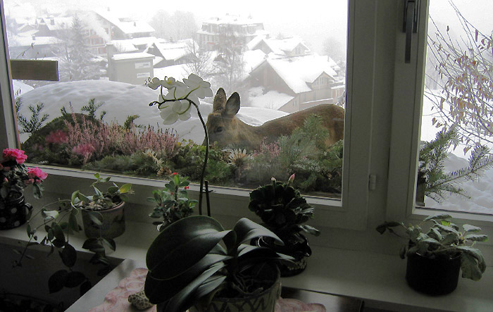 Foto: Esther Rieder