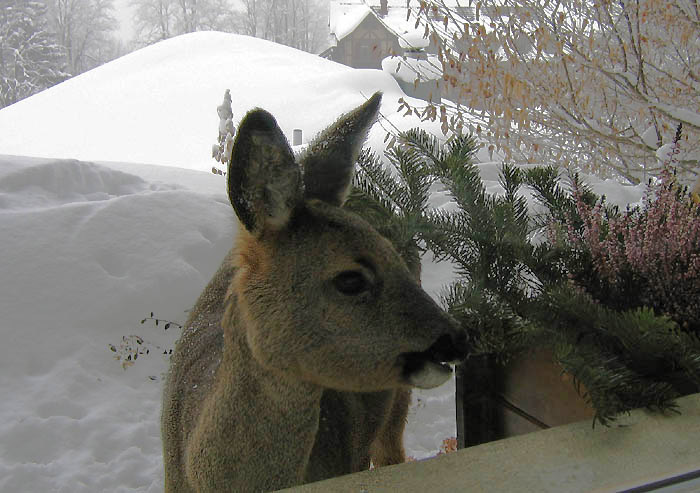 Foto: Esther Rieder