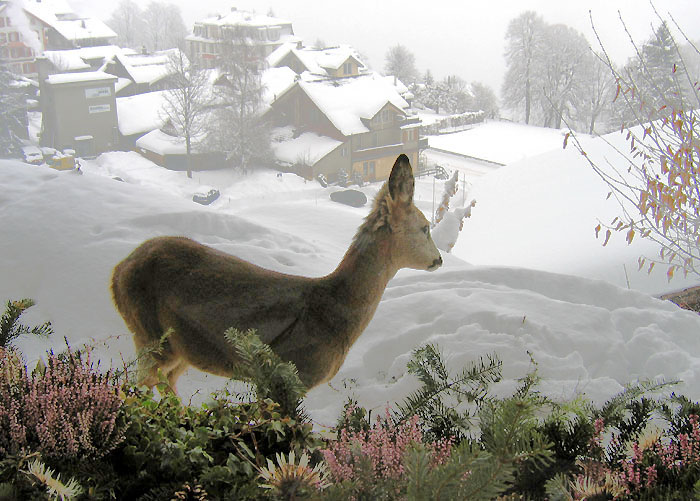 Foto: Esther Rieder
