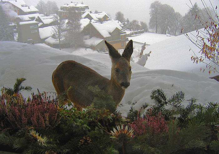 Foto: Esther Rieder