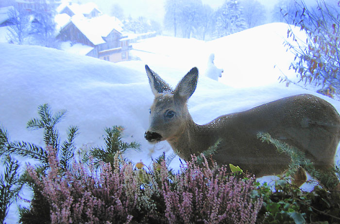 Foto: Esther Rieder