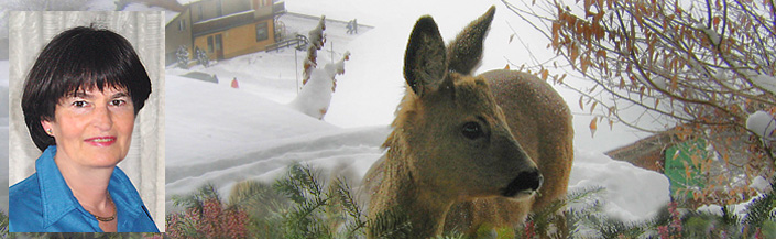 Besuch vor dem Wohnzimmerfenster