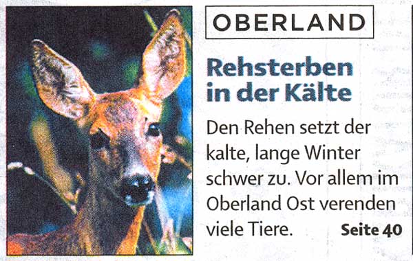 Berner Oberländer Zeitung
