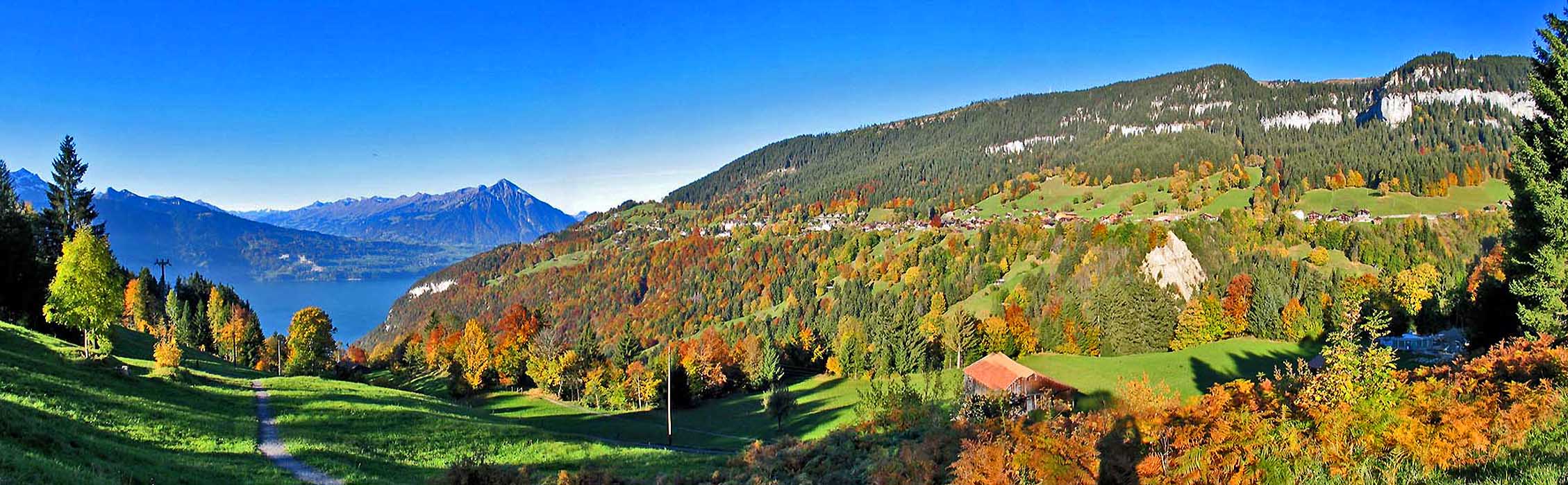 « zurück / Foto: F.Bieri