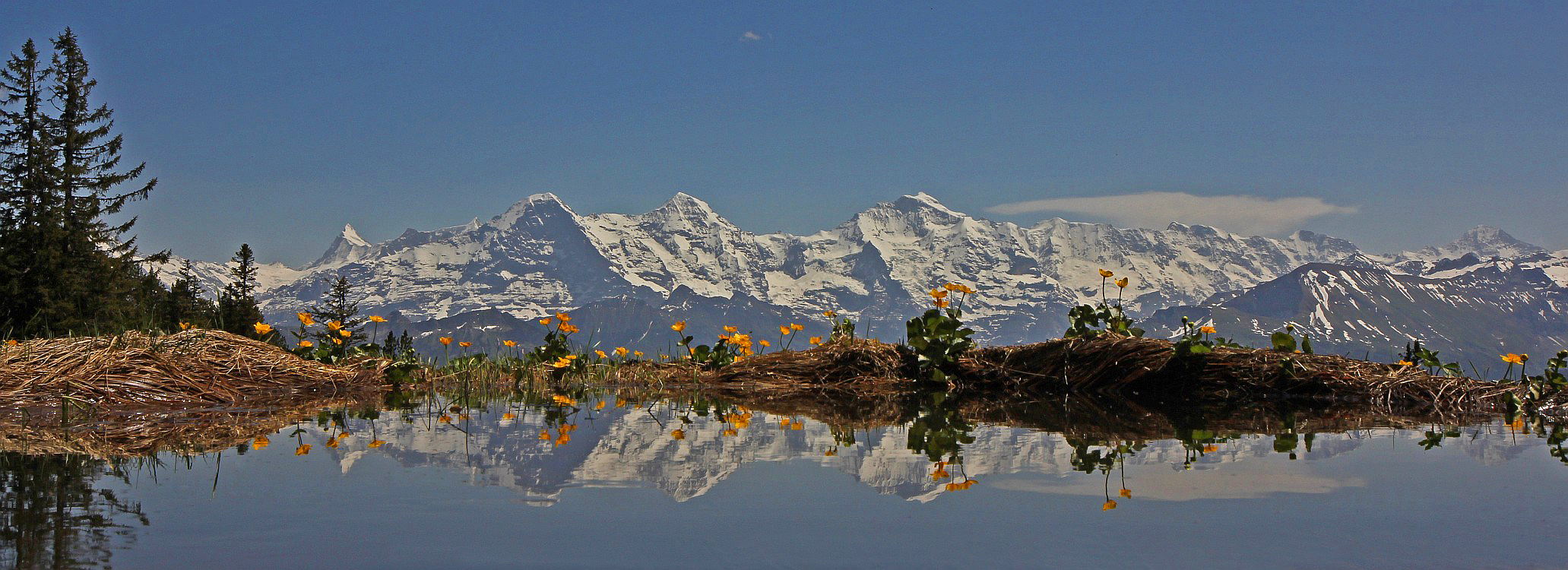 « zurück / Foto: F.Bieri