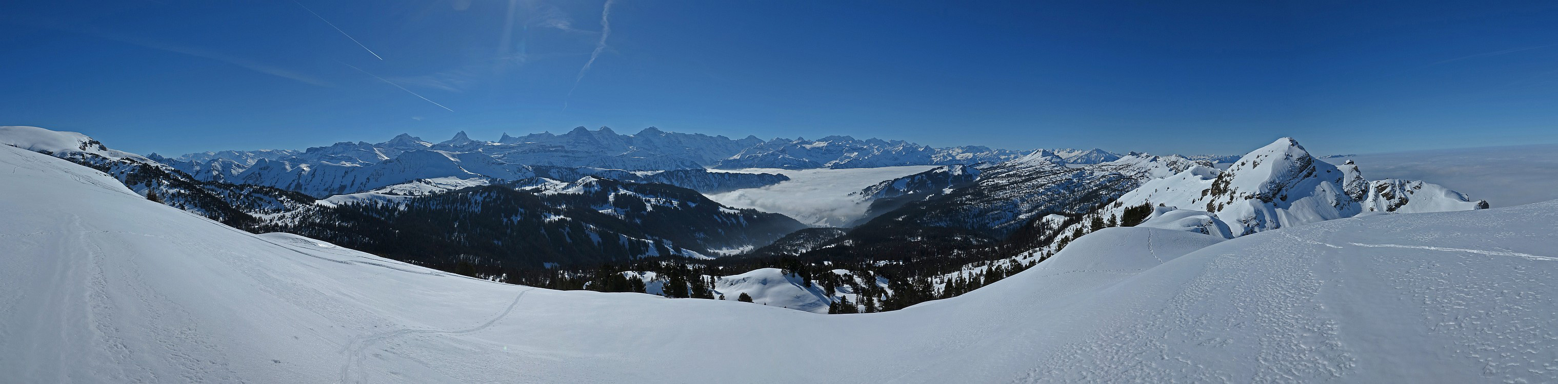 « zurück / Foto: F.Bieri